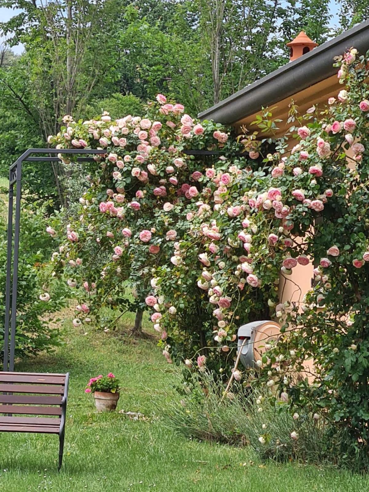 B&B Rosaverde Mulazzano Exteriör bild